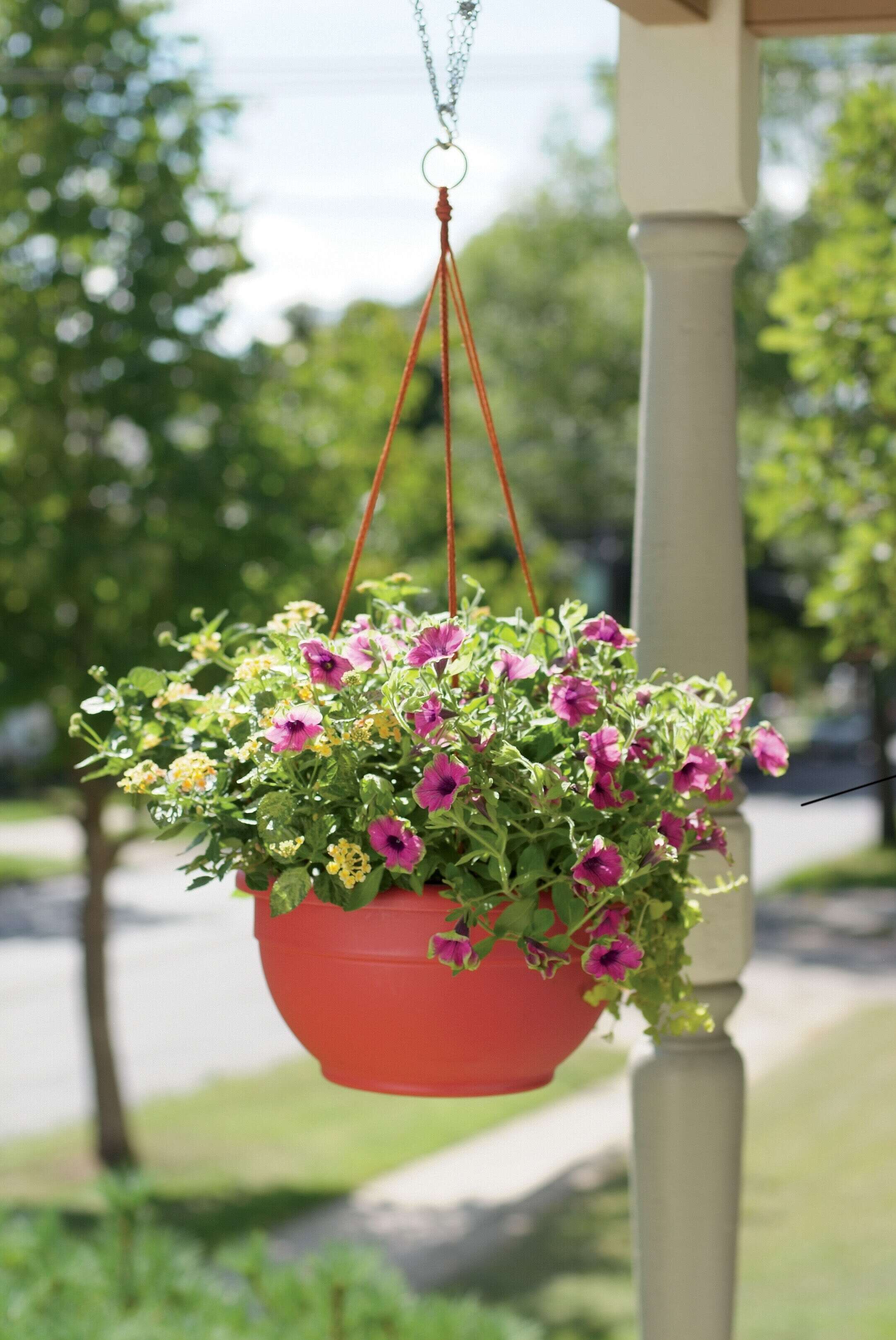 1 X Garden Plastic Hanging Plant Pots Flower Baskets Planters Self Watering Wall 